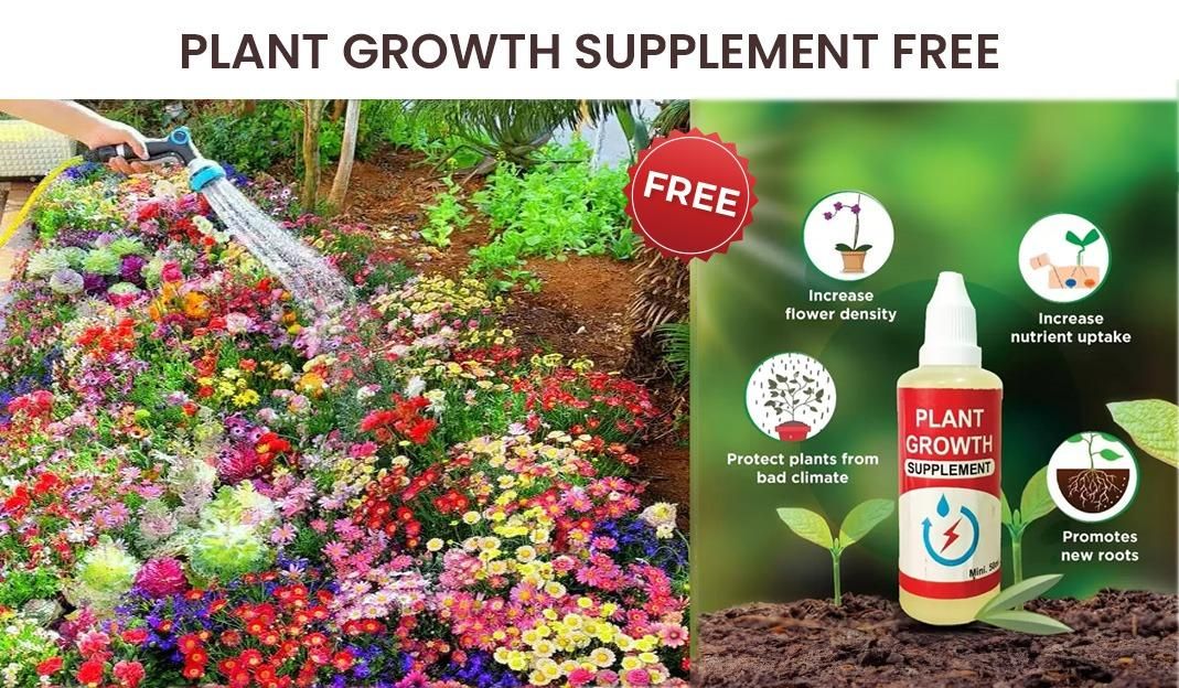 100 Varieties of Flower Seeds (Pack of 100) |š„FLAT 50% OFF SALEš„