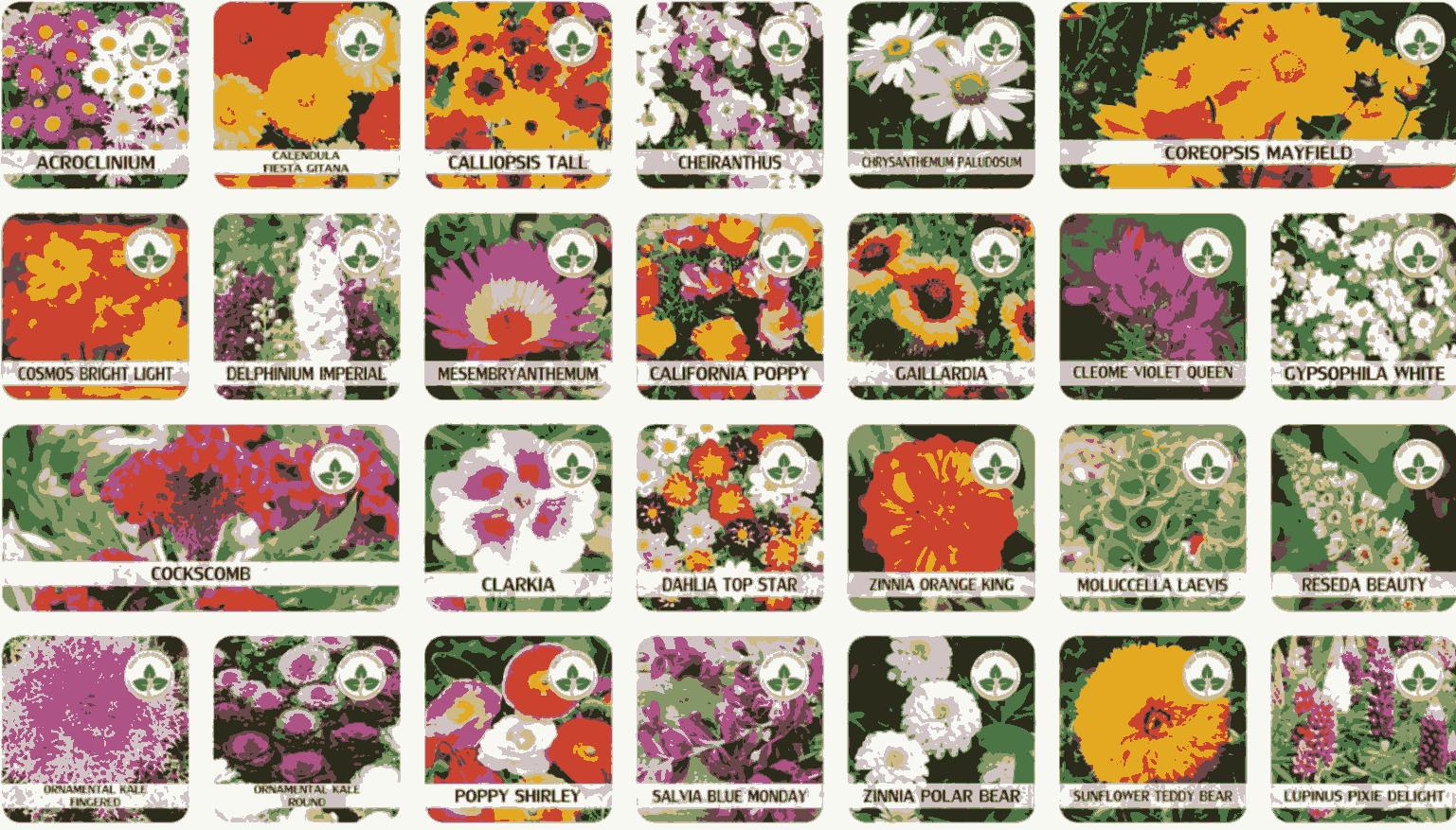 100 Varieties of Flower Seeds (Pack of 100) |š„FLAT 50% OFF SALEš„